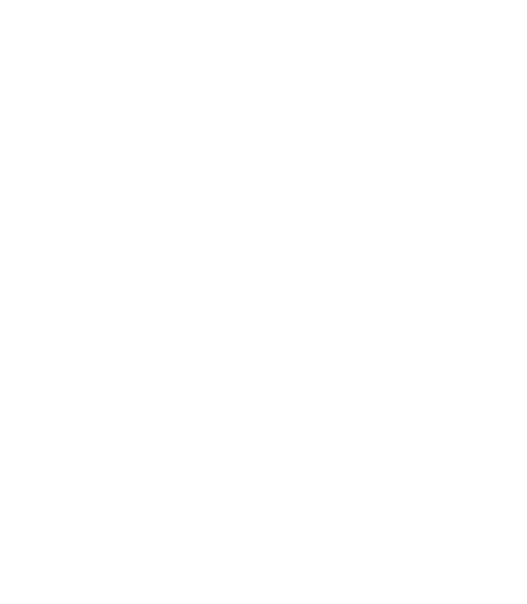 Frontpage siasar spanish